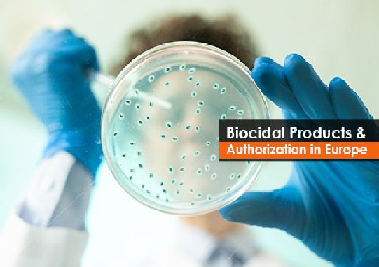 Biocid termék engedélyezése